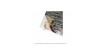 DEI REFLECT-A-COOL HEAT SHIELDS 24X24IN